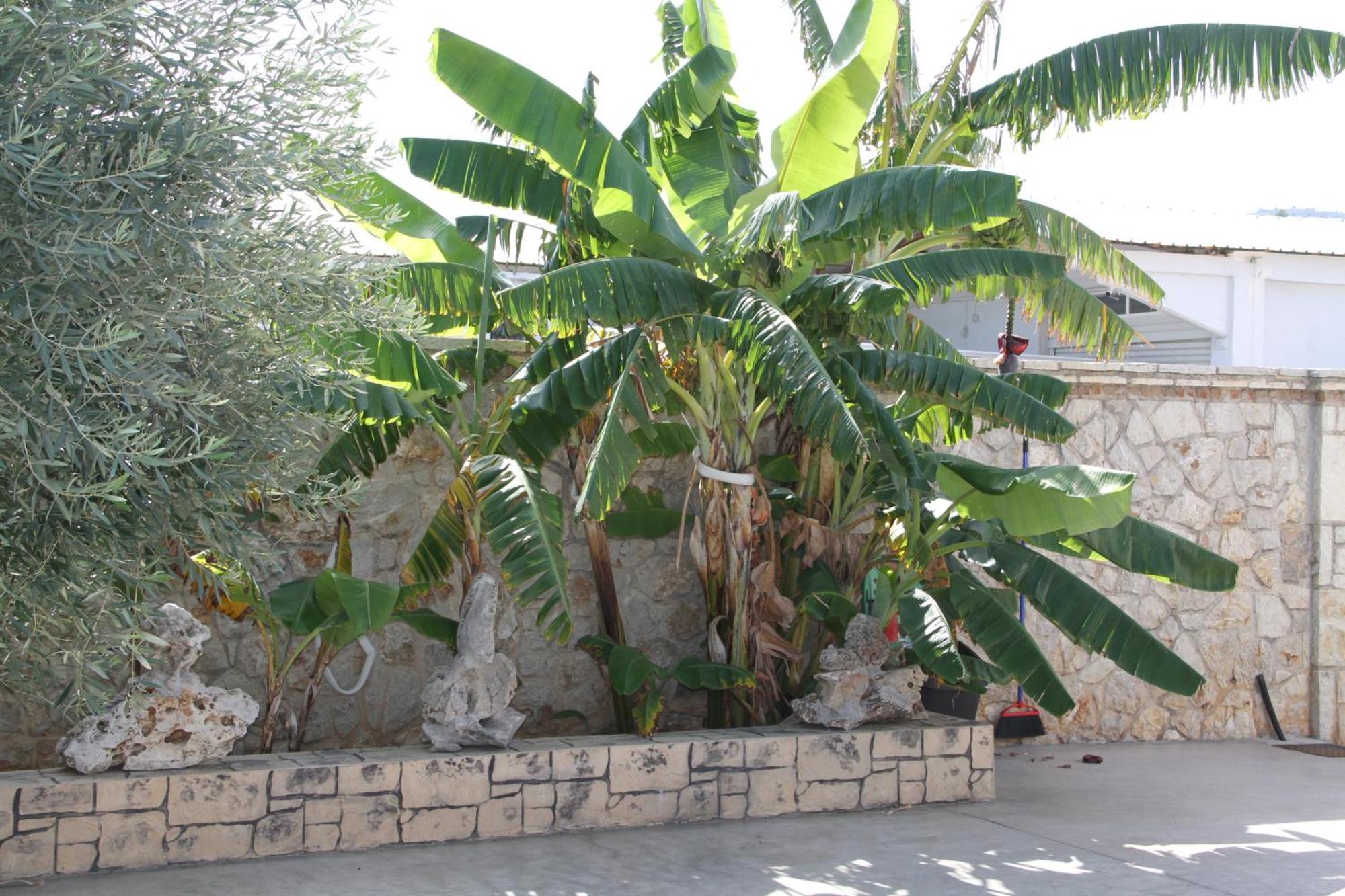 ΑΡΙΩΝ Village&Suites Ναύπλιο Εξωτερικό φωτογραφία